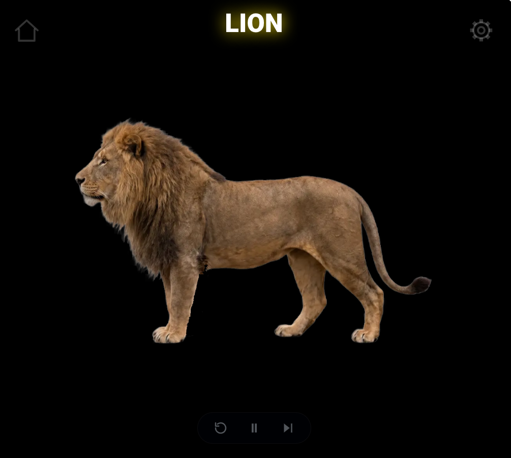 A photograph of a real lion revealed against the black background.