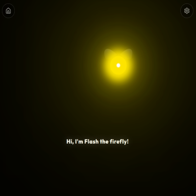 Flash