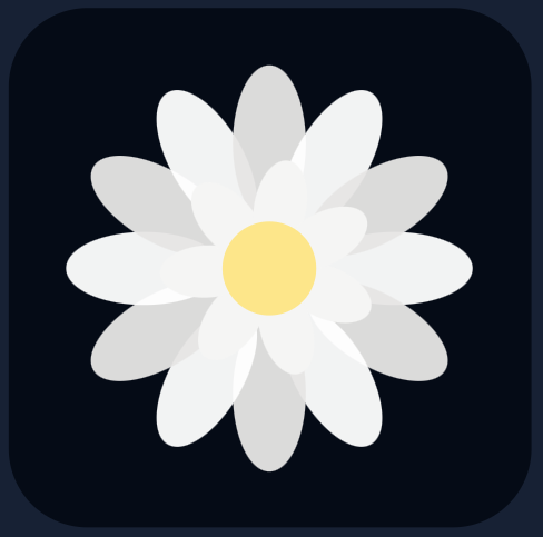A white daisy on a black background.